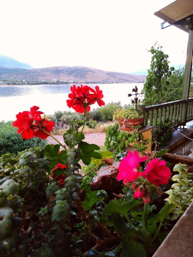 Aphrodite'S Coast Retreat House! Galaxidi Luaran gambar