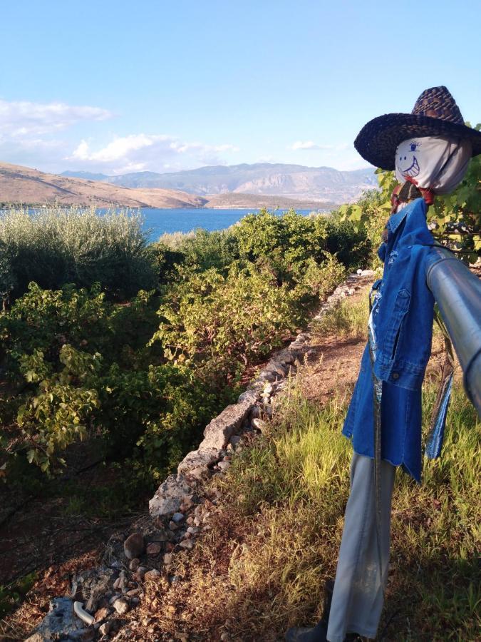 Aphrodite'S Coast Retreat House! Galaxidi Luaran gambar