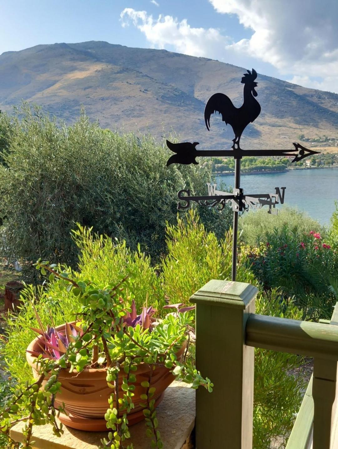 Aphrodite'S Coast Retreat House! Galaxidi Luaran gambar
