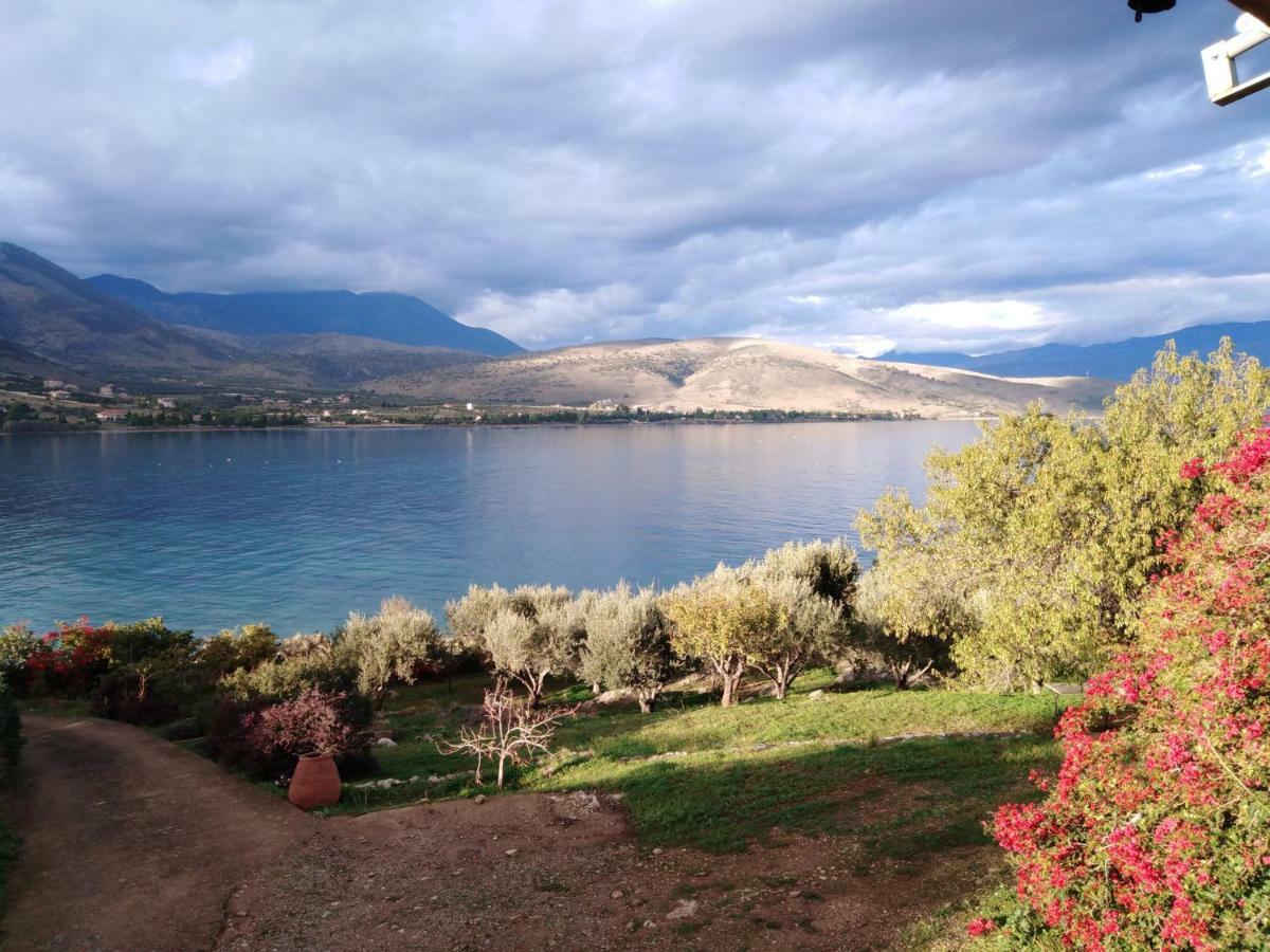 Aphrodite'S Coast Retreat House! Galaxidi Luaran gambar