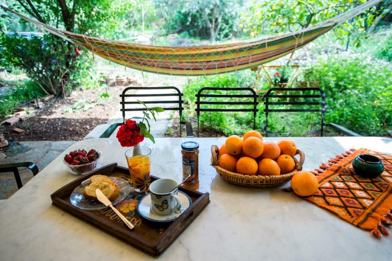 Aphrodite'S Coast Retreat House! Galaxidi Luaran gambar